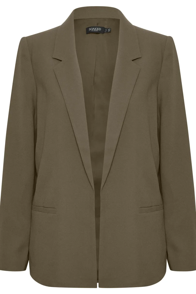 Clearance Soaked in Luxury SLShirley Blazer